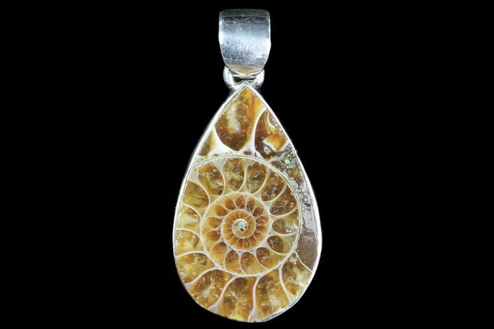 Ammonite Fossil Pendant - Sterling Silver #84559